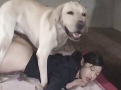 Sperm bestiality tube