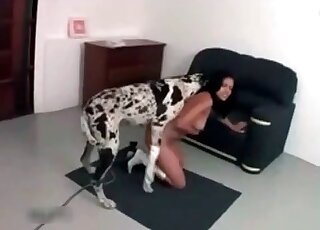 Big dog is about to fuck naked brunette from behind