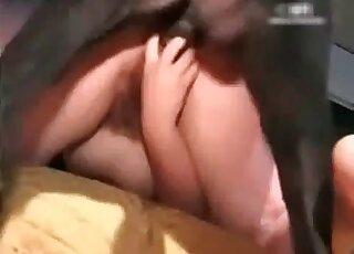 一隻肥婆的毛茸茸的陰戶被一條大狗的陰莖插入了。