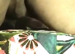 一個屁股很大的男人正在示範如何用傳教士體位操狗。