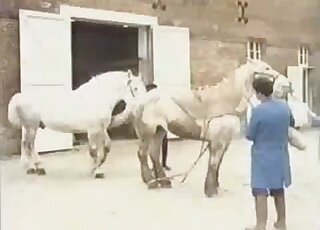 Brunette guy dressed in blue pleasuring horse with a giant fleshlight