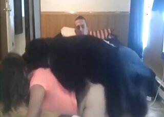 一位有著迷人黑髮的女士準備被狗操。