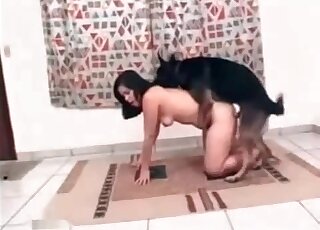 Nasty brunette welcomes shepherd dog for XXX zoo porn action