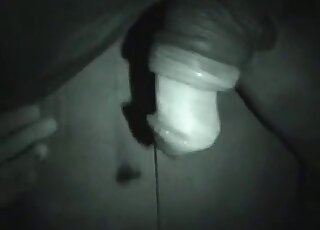 飢渴的戀獸癖者夜間遊蕩，尋找巨大的馬陰莖