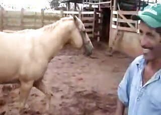 Outdoor horse-on-horse fucking with a hung brown stallion in HD