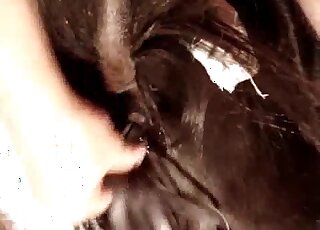 多虧了他的玩具性愛技巧，性感的小穴被撐開了。