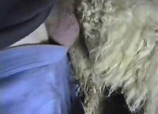 一個穿著黑襯衫的傢伙正在把他的陰莖插入一個毛茸茸的陰道裡