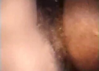 Mare's pussy is getting fucked brutally by a hung zoophile here