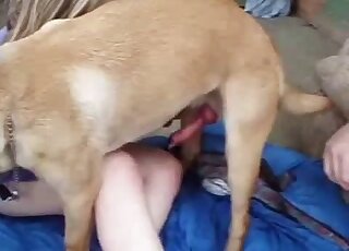 Purple get-up babe lets his animal fuck her pink hole on all fours