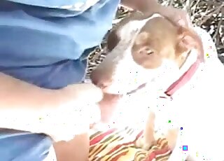 業餘男子試圖引誘他的狗發生性關係