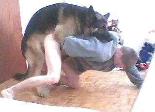 業餘小鮮肉喜歡在自慰時被德國牧羊犬騎乘