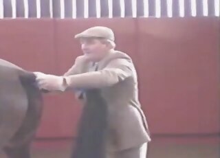 Insert from animal documentary showing two horses having intercourse