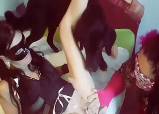 Black Labrador helps two amateur lesbian babes with pussy licking