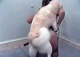 Aroused doggie takes nasty babe from behind and starts fucking her