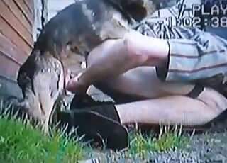 Dog provides horny master with quick outdoor fucking