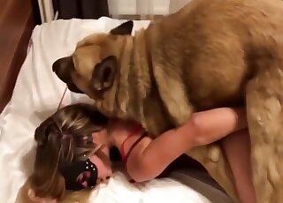 German Shepherd can't wait to pound blonde babe's pussy