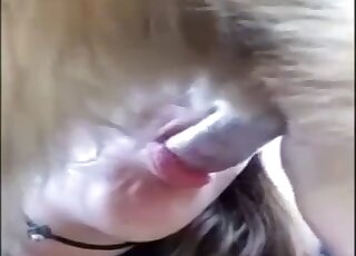 Cum is shooting from dog's dick after blowjob treatment by teen girl