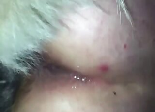 Close-up on lady's privates while she's vigorously banged by canine