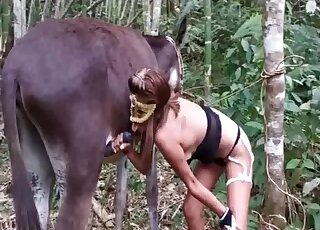 Donkey gets his long cock stroked and licked by masked vixen