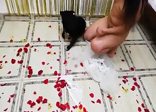 棕髮新娘被拍到給寵物狗吹簫