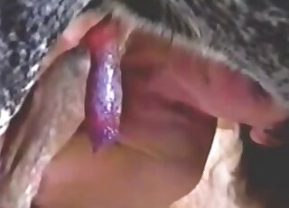 Big ass cougar uses pet canine for bestiality pleasures