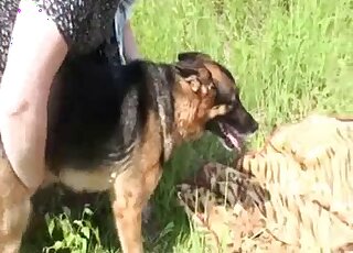 業餘美女想和德國牧羊犬在戶外玩動物性愛遊戲