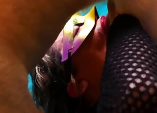 戴著面具、穿著暴露的妓女正在深喉吞嚥一隻白狗的陰莖