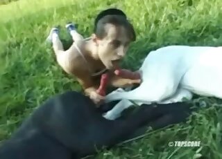 Lovely slut with a hairy twat is going to fuck a black animal outdoors
