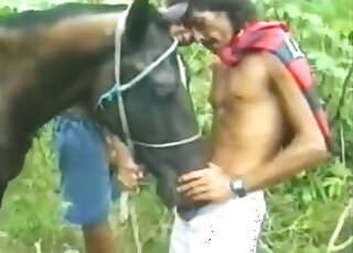 性感母馬的陰部準備好在樹林裡的色情電影場景中被人用手指撫摸。