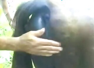 Sexy mare puss is ready to get fingered in porn movie set in the woods