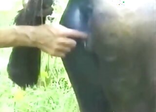 Sexy mare puss is ready to get fingered in porn movie set in the woods