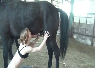 Horse cock getting stroked by a pale zoophile in sexy black lingerie