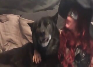 Loud treat on cam in brutal zoophilia with the redhead acting so slutty