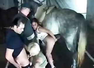 飢渴的蕩婦喜歡感受馬的巨根插入她的屁股