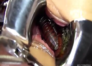 一位技藝嫻熟的金髮女郎與昆蟲在她的陰道裡進行著獨特的戀獸癖行為