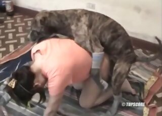 Big ass wife dog fucked in home zoo XXX and soaked in fresh sperm