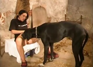 Great Dane makes nerdy amateur wife feel like fucking and sucking