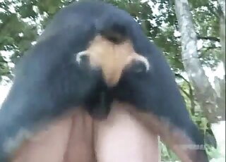 Dog humps blonde woman so good that she wants sperm on her cunt