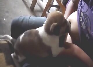 性感的小動物先是輕輕吸吮了一下乳頭。