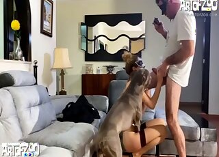 Fixed cam porn movie showing a threesome with the family pet