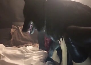 紅髮美女親吻著動物的陰莖，讓它射精