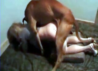 Compilation of doggystyle love with sexy dogs that hump hard