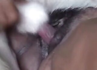 Fair-haired beauty with wet pussy jacking off a hung stallion outdoors