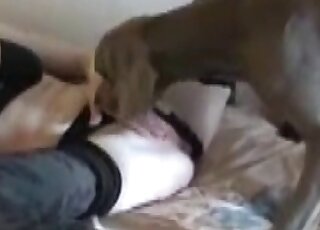 Blond-haired beauty in black stockings begging to get fucked happily