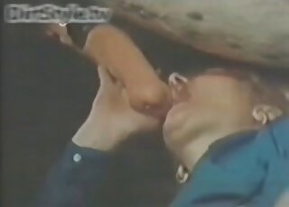 一位身著藍衣的紅髮女子熱情地吹著一匹雄壯的馬。