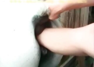 White mare getting fisted in intense scene that will get even hotter