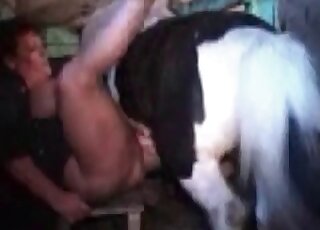 Pony porn movie showing a chubby MILF that bangs a hot animal