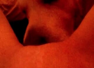 Dog eats wet pussy of a horny chick in a closeup animal porn vid