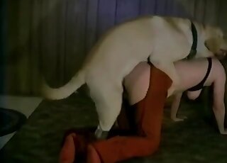 Dog licks cunt and fucks a crazy mom in a wild XXX beastiality action