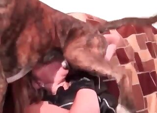 Sugary wife trained her dog to fuck her cunt in a XXX zoophilia scene